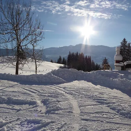Arlberggut *