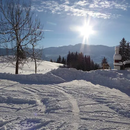 Arlberggut *