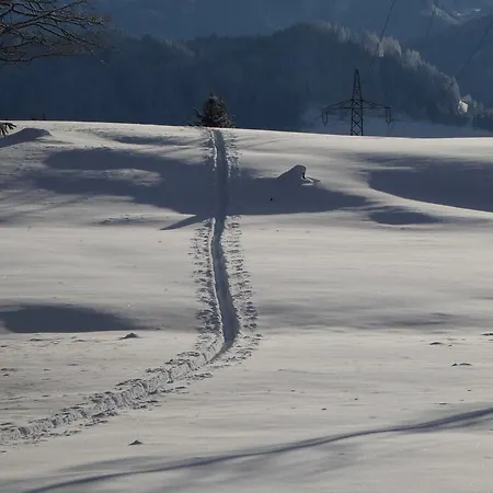 Arlberggut