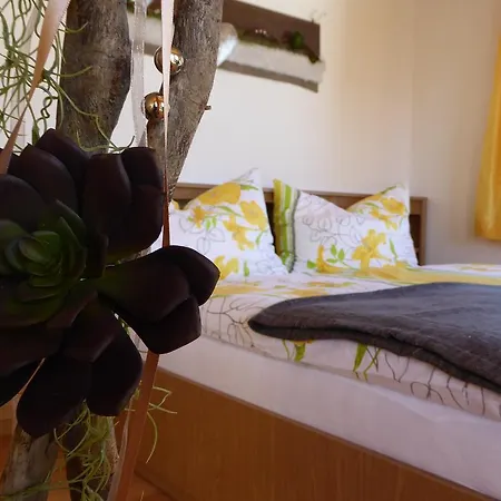 Arlberggut * Sankt Johann im Pongau