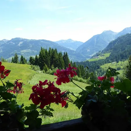 Apartment Arlberggut